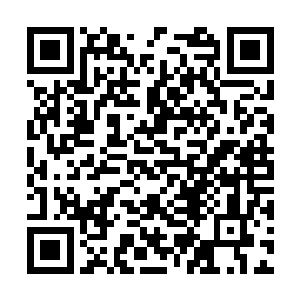 但他的这个判断遭到了评委席以及专家的一致否定二维码生成
