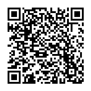 但他看出了刚才那两个骰子和现在这两个骰子根本就不是一回事儿二维码生成
