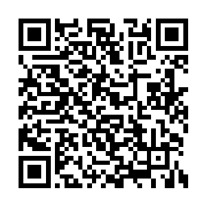 但他绝对不会抹杀雨果对于整个剧本做出的贡献二维码生成