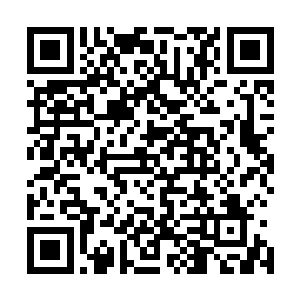 但他能感觉到细竹和兰花似乎达成了什么约定而和平共处着二维码生成