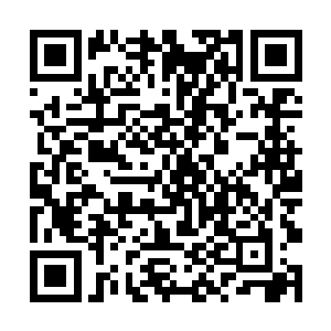 但他记得当时收留跹跹的那段时间他刻意的瞒着家里二维码生成
