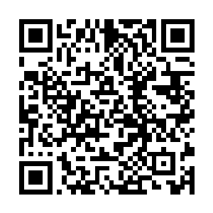 但他还是低估了一个发育良好的豹女能够产生的威力二维码生成