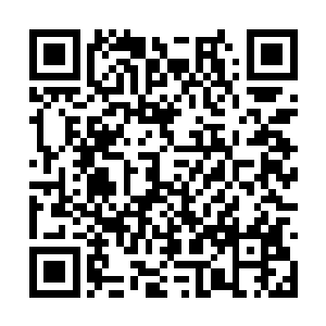 但他还是无法忍受让布鲁斯平平淡淡的被埋进土里二维码生成