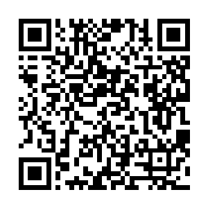 但他还是有点没从突然间来到这个世界的震惊中恢复过来二维码生成
