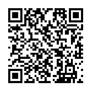 但他还没做好准备该如何面对这个胆小容易害羞的女子二维码生成