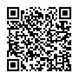 但他都那么辛苦了还没有学会生命能量的使用方法又怎么能甘心二维码生成