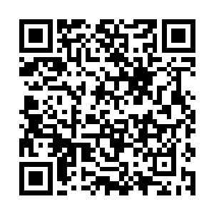 但付道士已经直接将龙珠放到了自己的破烂兜里面了二维码生成