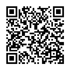 但令江帆惊愕的是大抵在眉心的大球似乎很想进入二维码生成