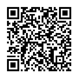 但以那块雪兔玉佩的价值连城以及完美无瑕精致无双的模样二维码生成