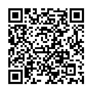 但仿佛也察觉出这对姐妹之间不像寻常的手足那么亲密二维码生成