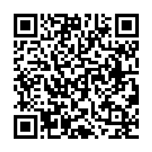 但众多电影制片公司依旧不愿意放弃对这位当红演员的追逐二维码生成