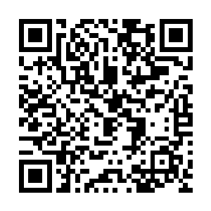 但作为观战的他们和所有观众是可清清楚楚地看到了全过程的二维码生成