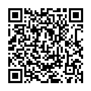 但作为连接五大至尊战堡以及整个伏羲舰队的信息中枢二维码生成