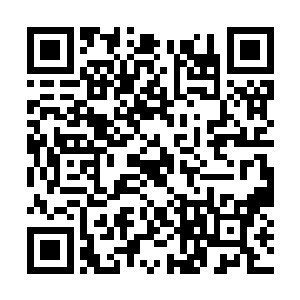 但你不要将我们外面的世家和家族当成是好欺负的二维码生成
