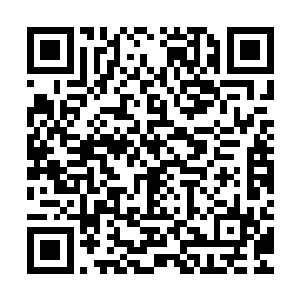 但你们注意他身上的气息连线……这就是五脉仙王的小五德共鸣二维码生成