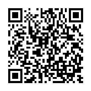 但你们都没有……至少我没有在信风中感觉到任何信约二维码生成