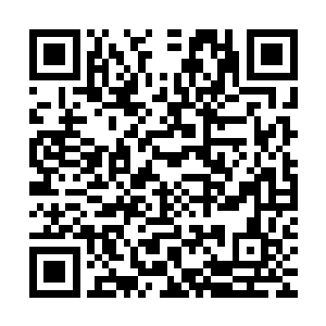 但你可知道夏道友也是不亚于师父的剑中真仙不若让他也甄别下二维码生成