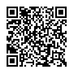 但你的丹田被上古冰河中的冰属性大道力量封印二维码生成