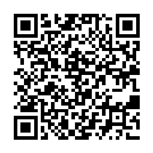 但你终究不明白一个少年至尊为什么能成就少年至尊二维码生成
