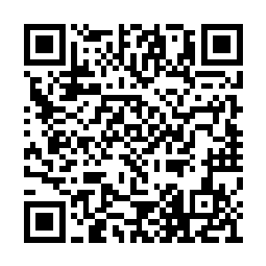 但你绝对不是让我掌控五方盟成为飞剑门的力量二维码生成