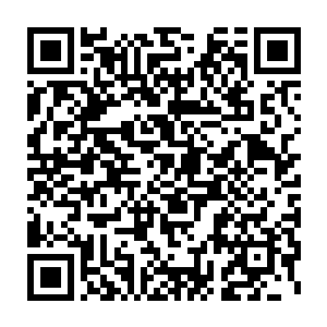 但依旧不断发出滋滋腐烂声音―那是吸血鬼被祝福过的匕首刺穿的效果二维码生成
