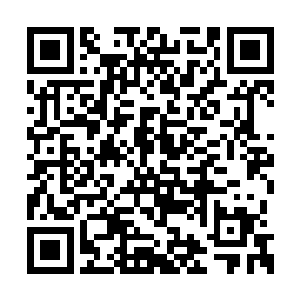 但依旧从来没有告诉过白雁与白妤自己来自哪里二维码生成