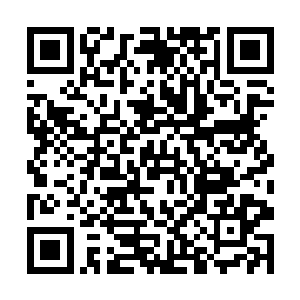 但依旧无法比拟真正看见一架私人喷气商务机的震撼二维码生成