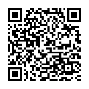 但依然无法凭着这次机会一步登天的跨入圣王这至高无上的境界二维码生成