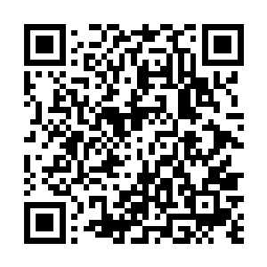 但依然能感受到保安的眼神如影随形地跟在这群人身后二维码生成