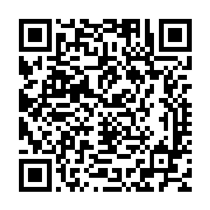 但保密原则不会选择在一百五十个地仙公开会议中将信息扩大化二维码生成