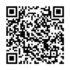 但偏偏真正的纹师天才需要从法相境纹师之中挑选二维码生成