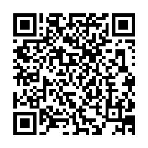 但像李音菲这种天上人间绝无仅有的美丽还是百年难得一出的二维码生成