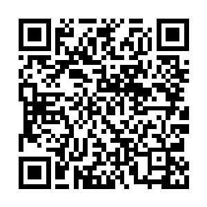 但儿子那天问他的话却时不时的回荡在他脑海中二维码生成