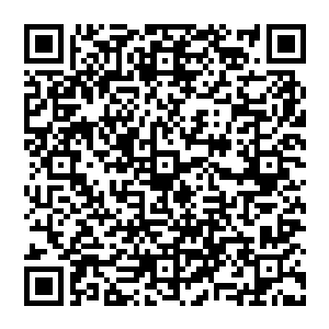 但元极山那边传来的消息对张铁来说还算不错元极山现在现的时间之塔只在大荒门洞天的外围区域二维码生成