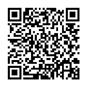 但元素潮汐和龙龟王连续不断的轰击实在是太可怕了二维码生成