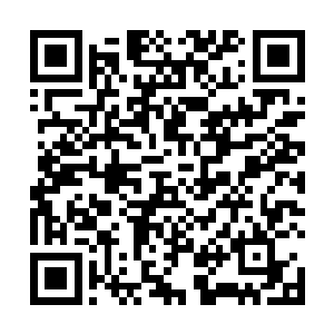 但先前就在她准备用莲海里的寂灭道法直接镇压对方时二维码生成