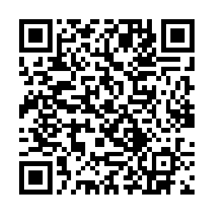 但光是巫师塔核心需要纳入联合防御体系就不能容忍二维码生成