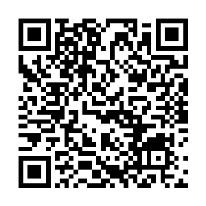 但入目的那一抹如雪一般的白皙和如羊脂般的光滑细腻二维码生成