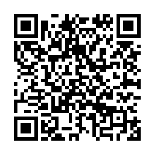但兰云曦却已经给这个新的生命想好了一个名字――张继玄二维码生成