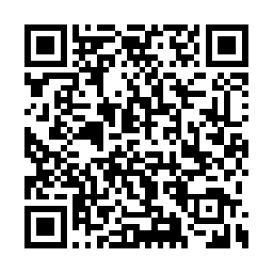 但关键是她们俩虽然在前世的游戏里就不太对付二维码生成