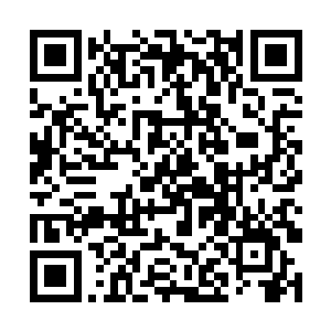 但其中却并没有什么高爆子弹之类的威力很强的子弹二维码生成