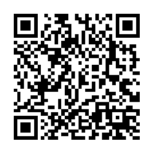 但其中有一位斜靠雕栏的美人却是方应物颇为熟悉的二维码生成