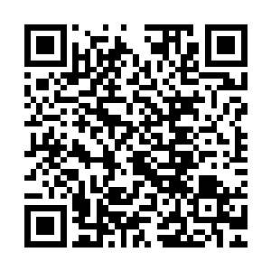 但其中的120万美元需要支付给南希・约瑟夫森和律师会计师团队二维码生成