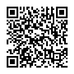 但其他人却未必可以走同样的道路……徐娇现在的努力二维码生成