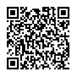 但其同样也是由特殊的雷属性材料结合玄妙的雷纹组成二维码生成