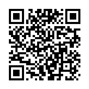 但其粗大虬结的树干和锯齿般的针叶二维码生成