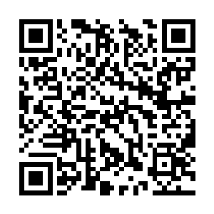 但再借它十个胆子也不是不敢违抗一条龙的命令的二维码生成