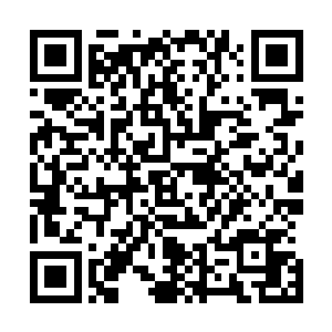 但再怎么坚硬也挡不住楚旬那蕴含着金系本源之力的虎魄刀二维码生成