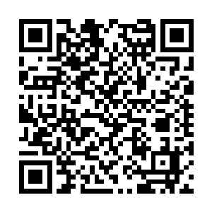 但冷冽无情的剑气攻击已经落在了叶尊的头顶上空二维码生成