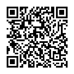 但几个回合下来就看出那金冠小人定是这部队的关键二维码生成